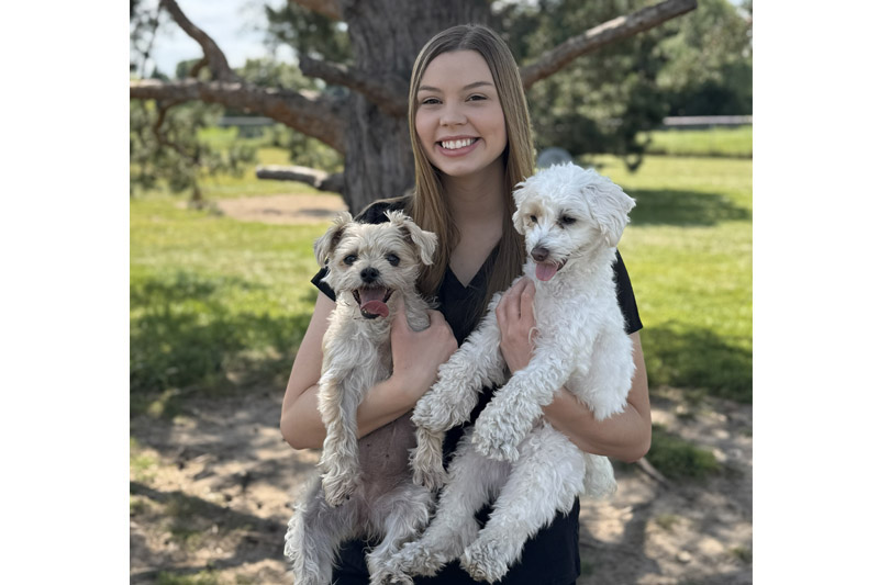 Dr. Madelyn Meyer, DDS, Best Dentist in Sauk Rapids, MN 56379